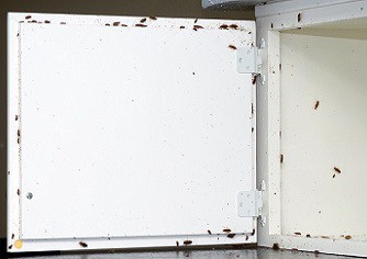  Kakkerlakken in huis